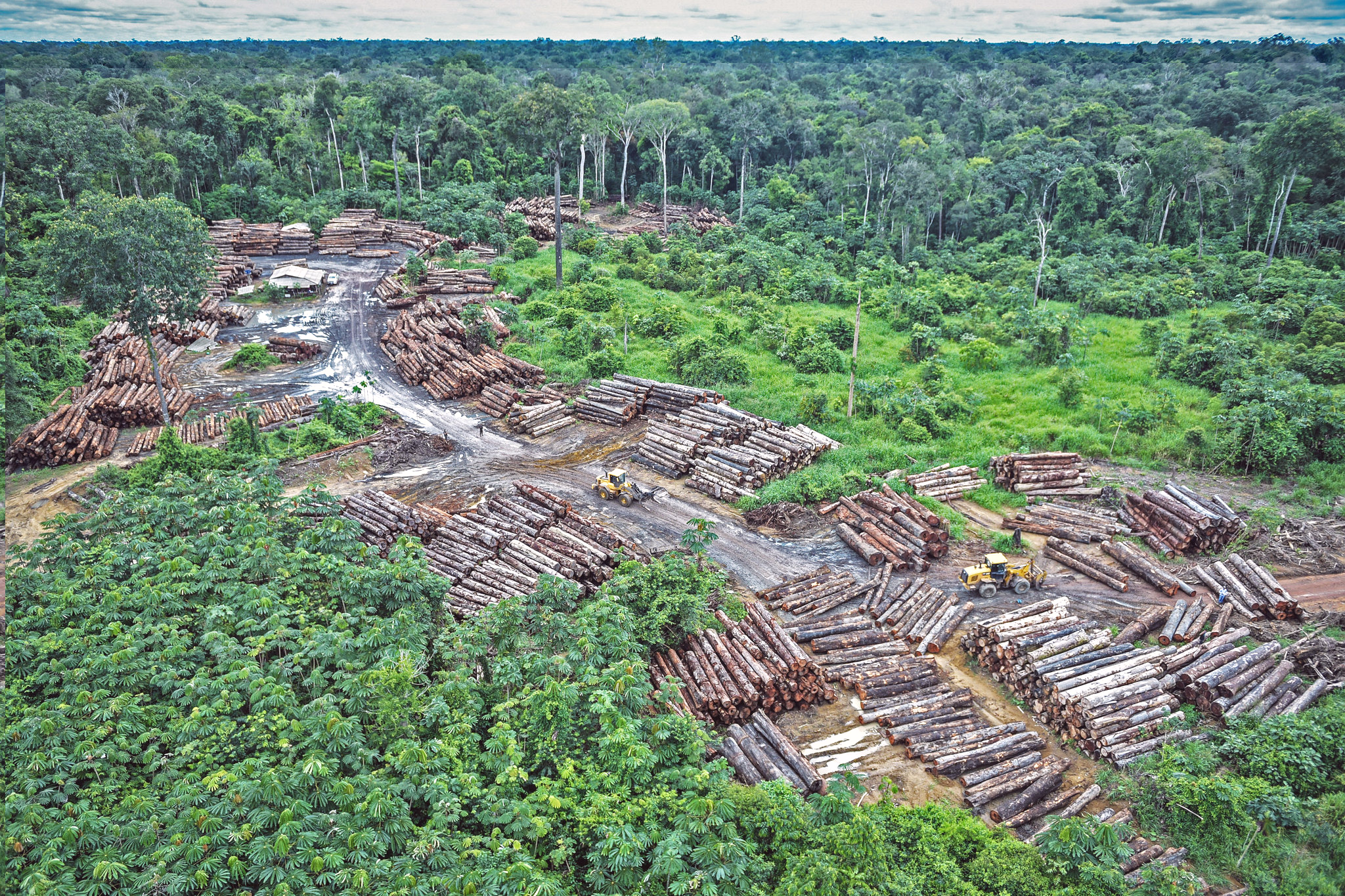 LE GABON POSSEDE DES MILLIONS D’HECTARES D’ECOSYSTEMES FORESTIERS BIEN PRESERVES