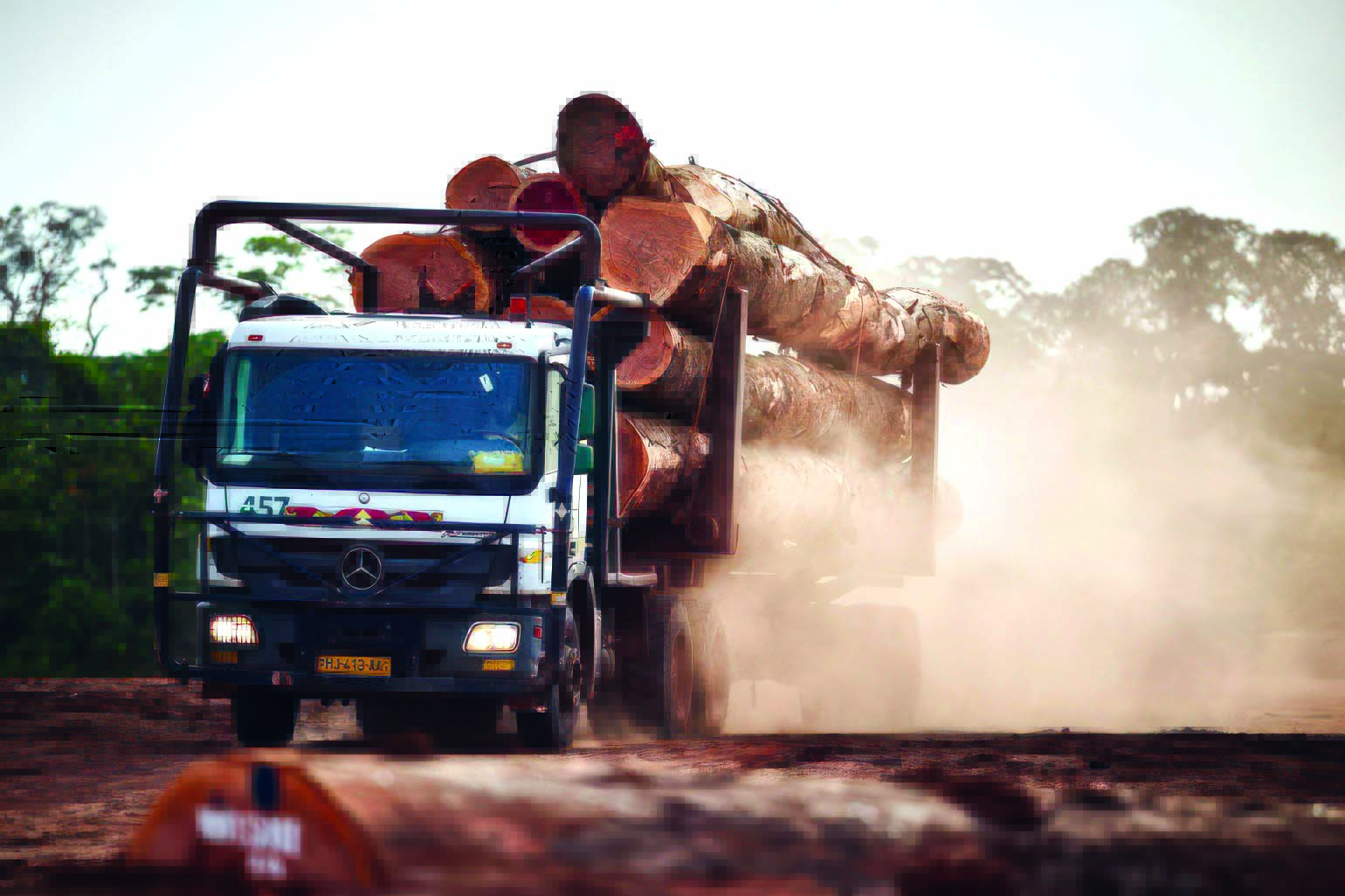 FILIÈRE BOIS: LE GABON ENREGISTRE UN REPLI DE 6,6% DE L’ACTIVITÉ AU 4e TRIMESTRE2024