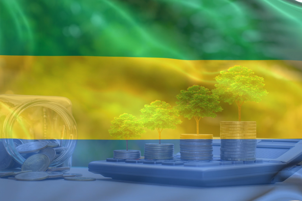 ENVIRONNEMENT AU GABON : UN LEVIER STRATÉGIQUE POUR UNE CROISSANCE ÉCONOMIQUE DURABLE